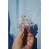 Almond Blossom